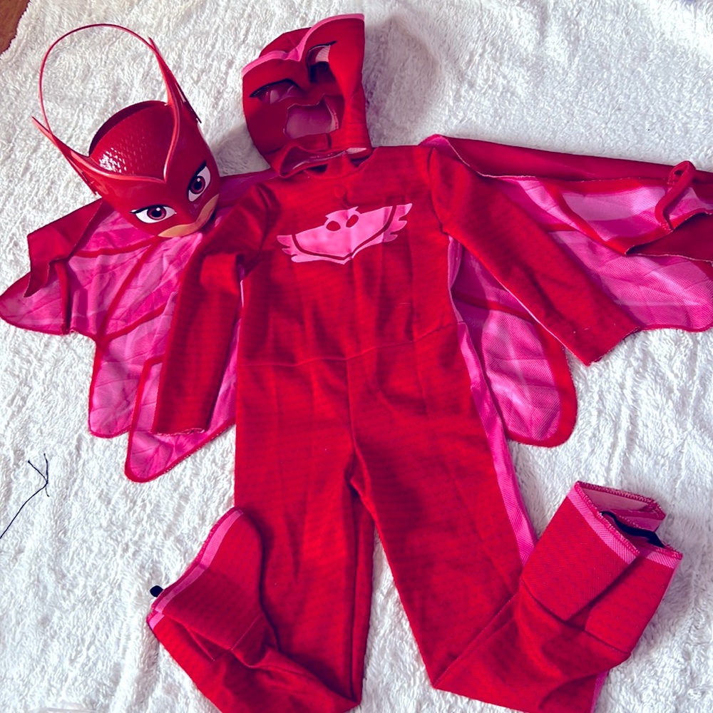 PJ Masks Halloween costume